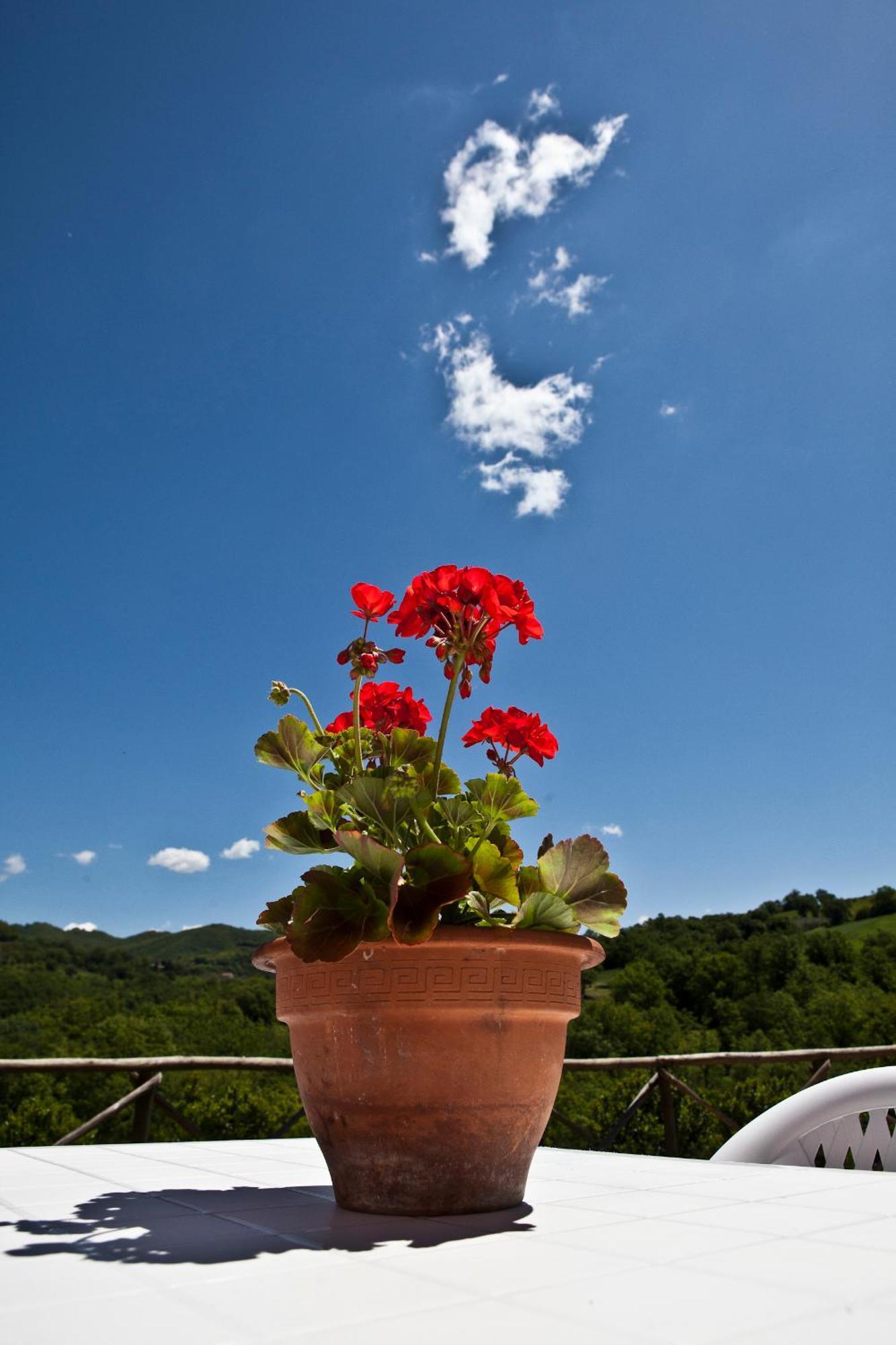 הוילה Piano Delle Pieve Relais Parco Del Subasio מראה חיצוני תמונה