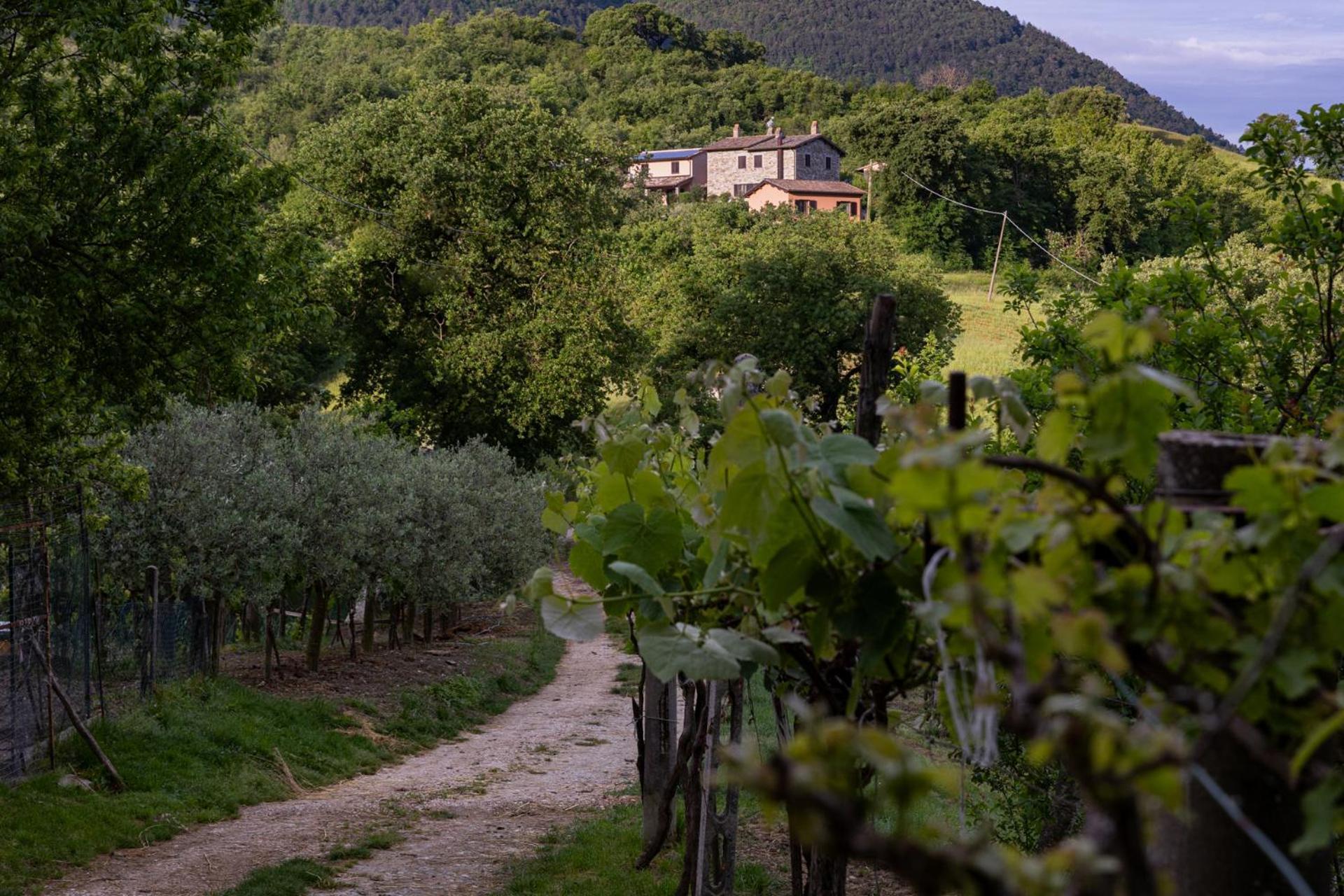 הוילה Piano Delle Pieve Relais Parco Del Subasio מראה חיצוני תמונה