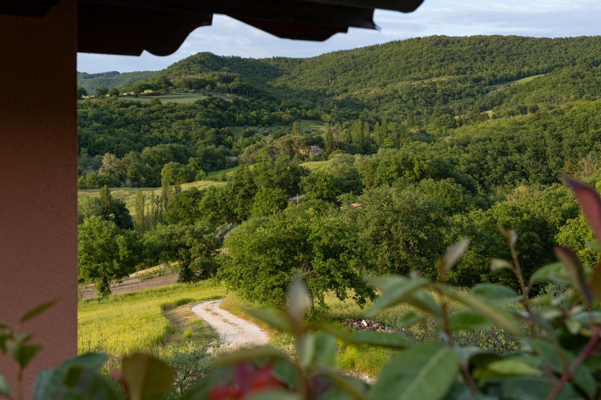 הוילה Piano Delle Pieve Relais Parco Del Subasio מראה חיצוני תמונה